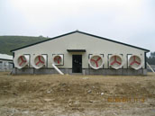 Steel Structure Poultry House XGZ-014