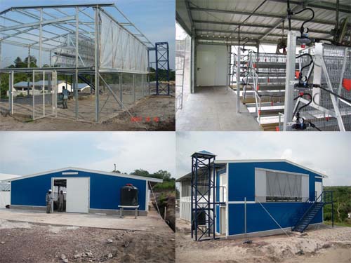 steel framework, interior and exterior view of the chicken house with steel structure